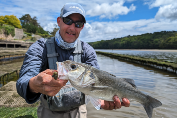 Fly fishing for bass, 5 flies for effective summer fishing