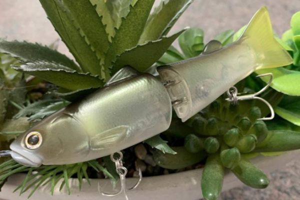 Le New Slide Swimmer 115 est splendide !