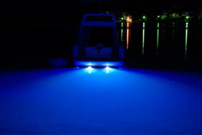 Acheter Lampe de pêche sous-marine LED pour attirer les poissons, bateau  Submersible délicat, nuit pour bateau