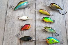 Choisir la bonne couleur de poisson nageur