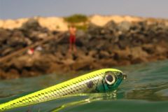 Le stickbait, un leurre dur de surface