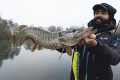 Le grub, le leurre souple roi des eaux froides et claires