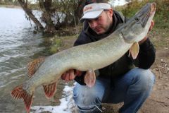 Les hard swimbaits, des leurres efficaces toute l'anne