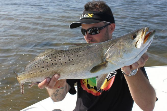 Floride : dcouverte  de la pche des spotted sea trout de l'Indian River !