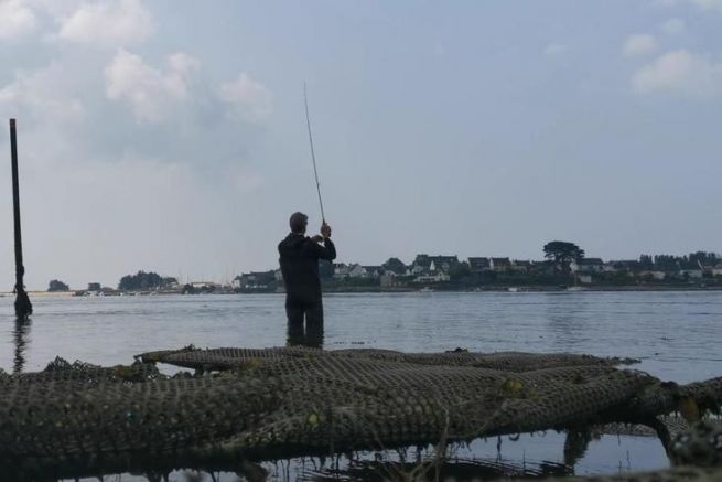 Moulinet casting Daiwa Prorex XR : idéal pour les pêches lourdes