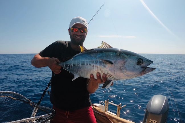 Le thon rouge sur chasse en Méditerranée, une pêche addictive !