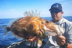 Le Saint-Pierre attire les convoitises. Essayons de comprendre son mode de vie pour r�ussir sa p�che.