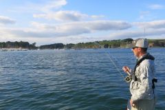 Le bar à la mouche, une pêche passionnante