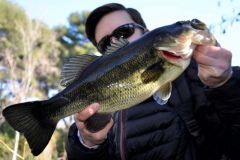 Pcher le black-bass en hiver