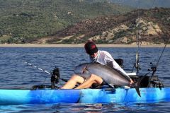 Pcher de gros poissons en kayak