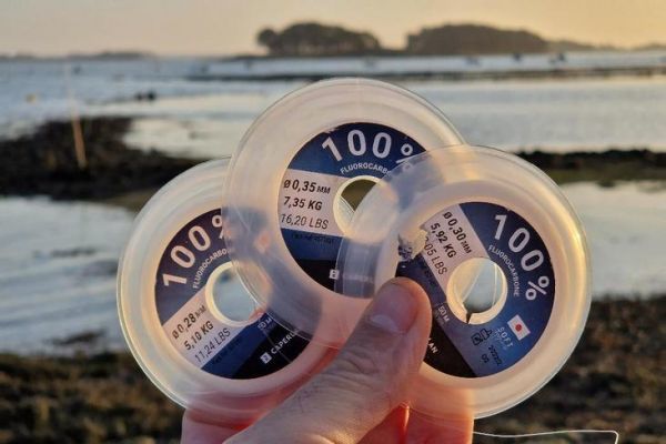 Bas De Ligne En Fluorocarbone Avec Émerillons - Pour Eau Douce Et Eau Salée - Tailles 15cm à 40cm