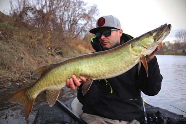 FLOAT TUBE EN GRAND LAC : Ce qu'il faut savoir