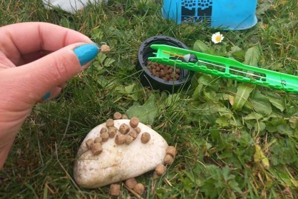 Le Montage Multi Rig Pour La Pêche De La Carpe : Simple, Rapide Et Efficace 960316 Php