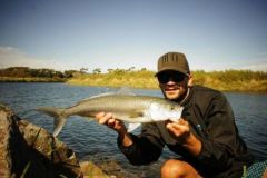 Pche en Nouvelle-Zlande,  la dcouverte du saumon australien