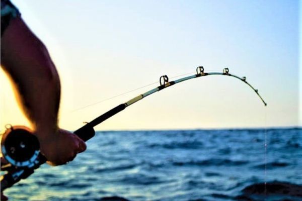 Débuter la pêche en mer : choisir le bon moulinet pour équiper sa