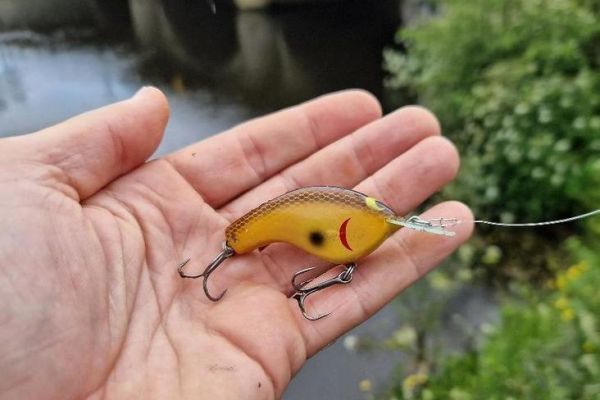 Cranckbait Shimano MacBeth Flat AR-C : vintage, moderne et efficace