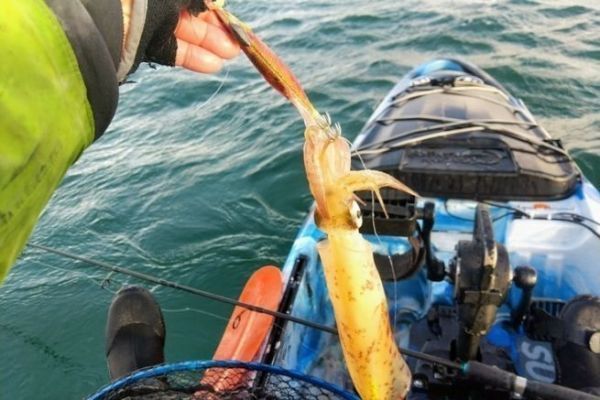 Culture - Loisirs - VIDEO. Pêche de bord de mer, suivez le guide moniteur