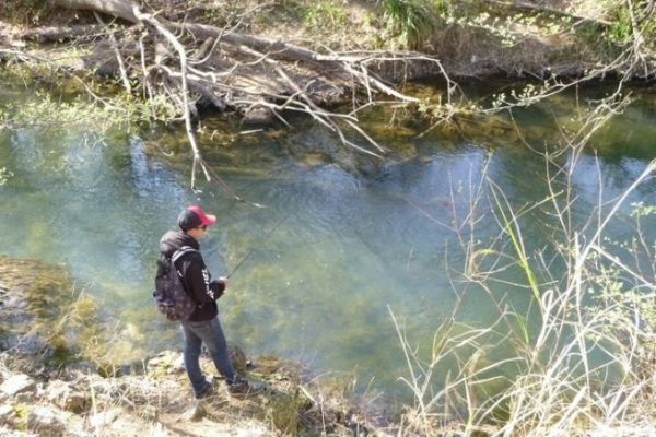 Le chevesne, poisson idal pour dbuter la pche au leurre en rivire