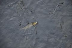 Météo et ouverture de la pêche à la truite