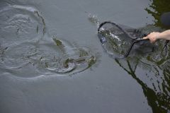 D�crocher moins de truite