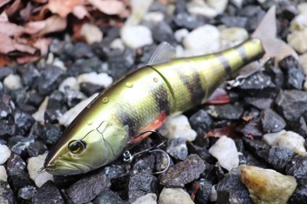 Dowz Swimmer 220 SF, un hard swimbait avec une nage de glide bait !