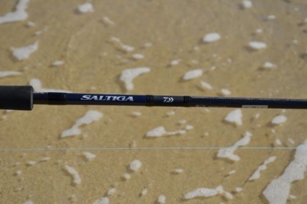 Canne à Pêche Daiwa Whisker DF - Neuve - Modèle Casting Ou Lancer ?