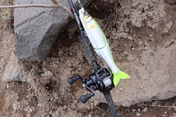 Le matriel puissant  prvoir pour pcher avec des giant baits