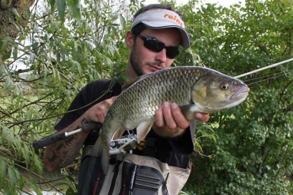 Cet t, pchez avec des leurres flottants imitations d'insectes !