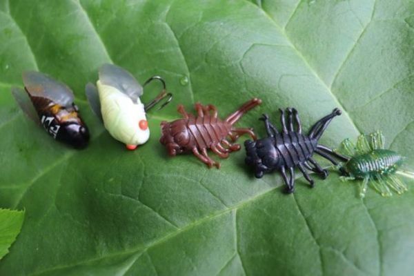 Bien utiliser les leurres de pche flottants en forme d'insecte