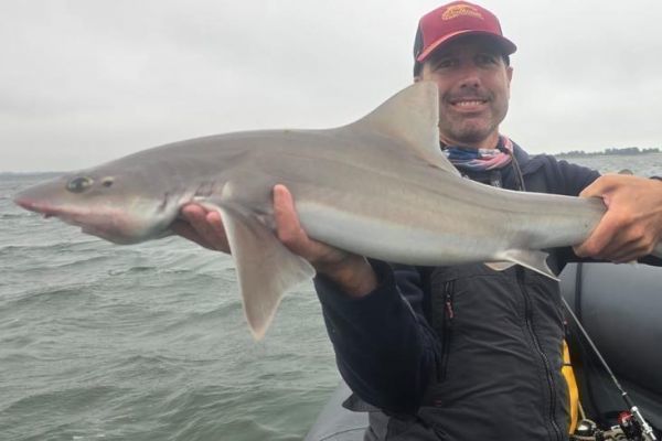 Pche au requin, sortie pche et journe de science participative