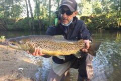 Superbe truite de mer normande prise au tube fly par eau teint. Un superbe coup de ligne de l'auteur