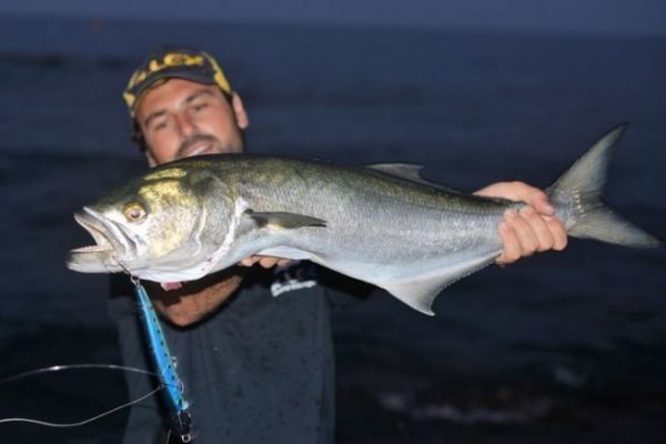 Pche en bord de mer au leurre en Corse, les gnralits  connatre