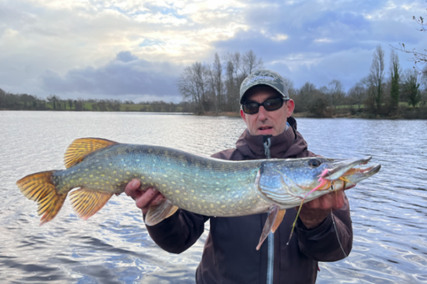 L'automne est trs souvent une bonne priode pour traquer le brochet  la mouche