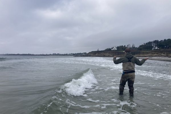 Pche du bar  la mouche en plage, o trouver les poissons ?