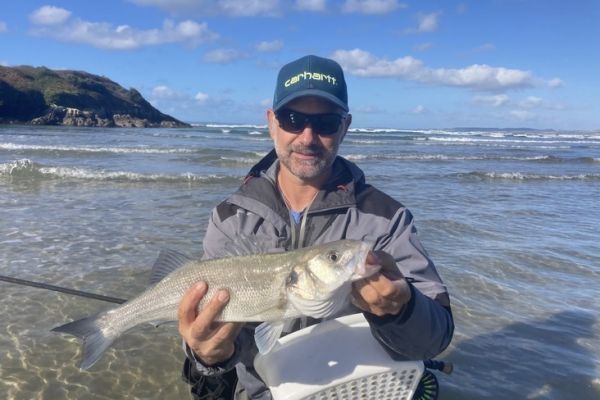 Pche du bar  la mouche en plage, les stratgies  employer