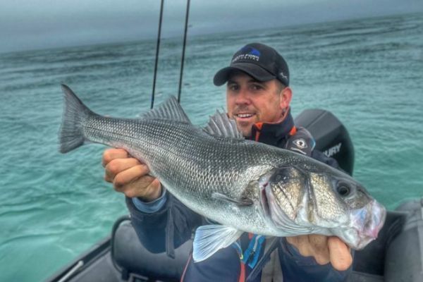 Pche du bar en fin de saison,  la recherche de gros poissons