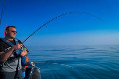 Les bonnes animations pour pcher le bar en bateau