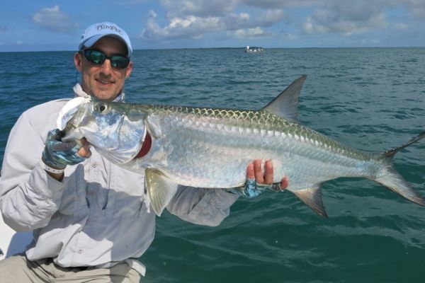 Partir pcher le tarpon  la mouche en mer chaude, des combats violents