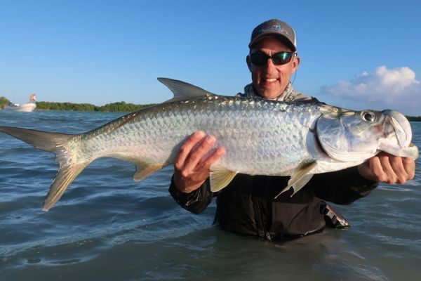 La pche du tarpon  la mouche : matriel, techniques et astuces