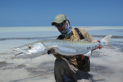 Bien prparer son voyage permet de pouvoir combattre et mettre au sec de superbe poissons puissants et combatifs et russir son 