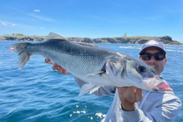 Spots pour la pche du bar : les ctes rocheuses du bord et en bateau