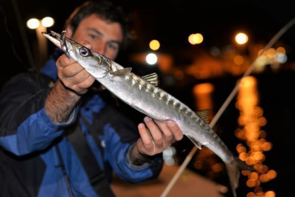 Pche au leurre en bord de mer en Corse, bien pcher les ports