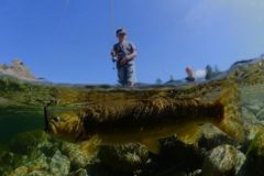 Pche de la truite au leurre au lipless minnow, un leurre polyvalent