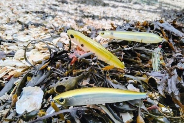 1 Pièce Leurre En Plaques De Fonte Explosive Pour La Pêche À Longue