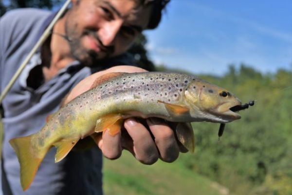 Pcher la truite avec des imitations d'invertbrs pour les poissons difficiles