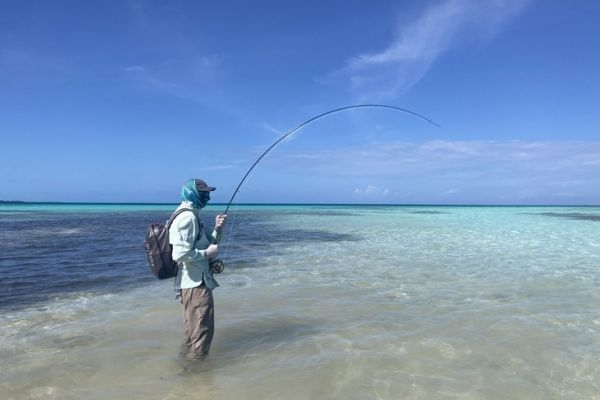 L'Archipel de Los Roques est l'une des meilleures destinations exotiques au monde