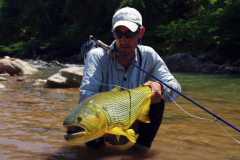 Partir pcher le dorado  la mouche dans le nord de l'Argentine