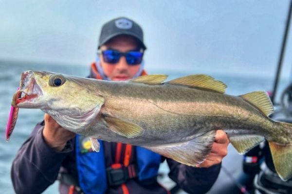 Comment immortaliser de la plus belle des façons vos prises ? Comment faire pour immortaliser au mieux vos prises lors des sessions de pêche ?