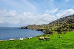 L'Irlande est une destination de rve pour les amateurs de pche