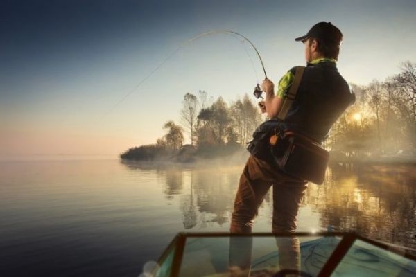 Ne perdez plus vos leurres : le Savior Ring, l'allié des pêcheurs de carnassiers